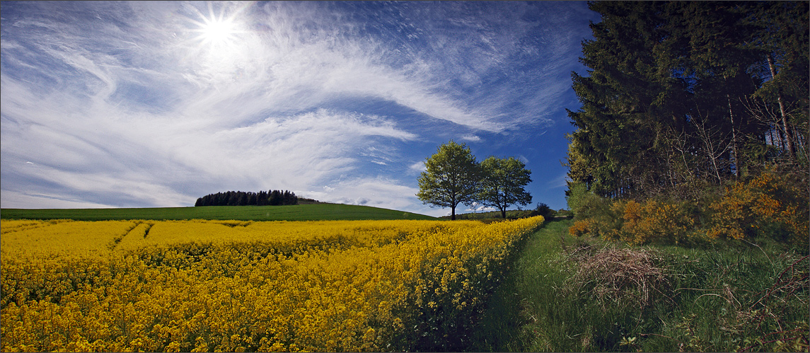 Frühling im Sauerland