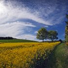 Frühling im Sauerland