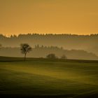 Frühling im Sauerland