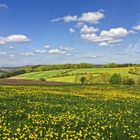 Frühling im Sauerland II