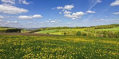 Frühling im Sauerland II