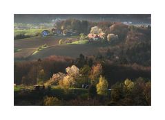 Frühling im Sausal