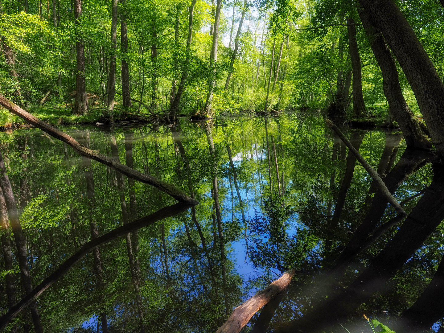 Frühling im Schlaubetal