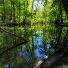 Frühling im Schlaubetal