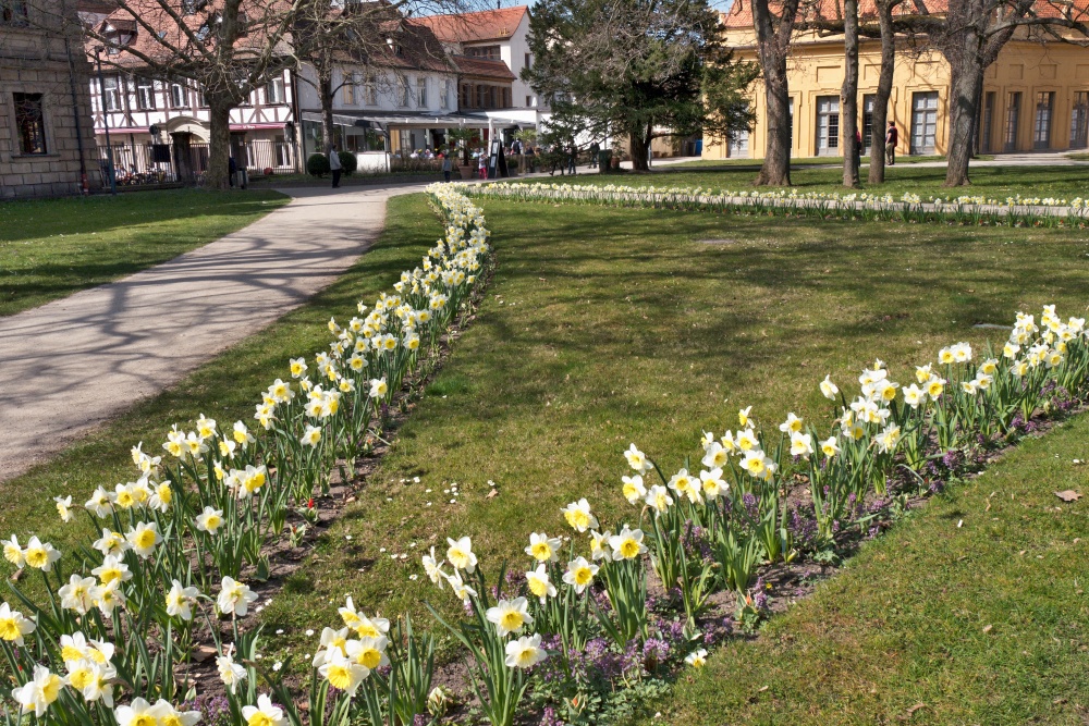 Frühling im Schlossgarten