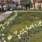 Frühling im Schlossgarten