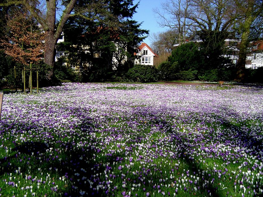 Frühling Im Schloßgarten Oldenburg