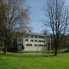 Frühling im Schloßpark