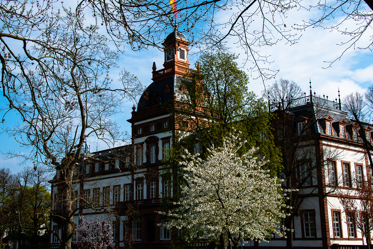 Frühling im Schlosspark