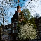 Frühling im Schlosspark