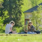 Frühling im Schloßpark