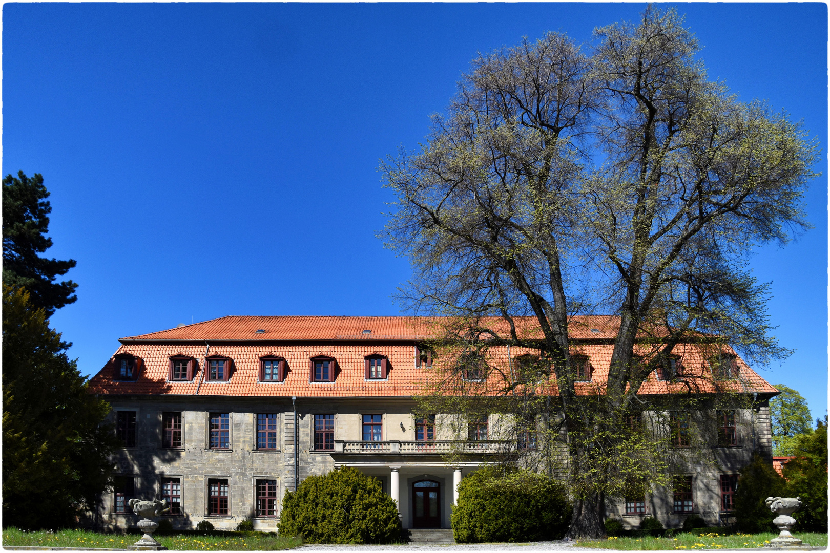 Frühling im Schlosspark