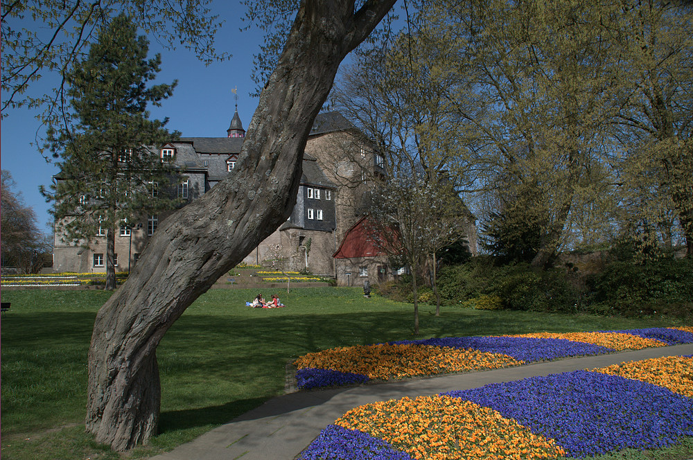 Frühling im Schloßpark