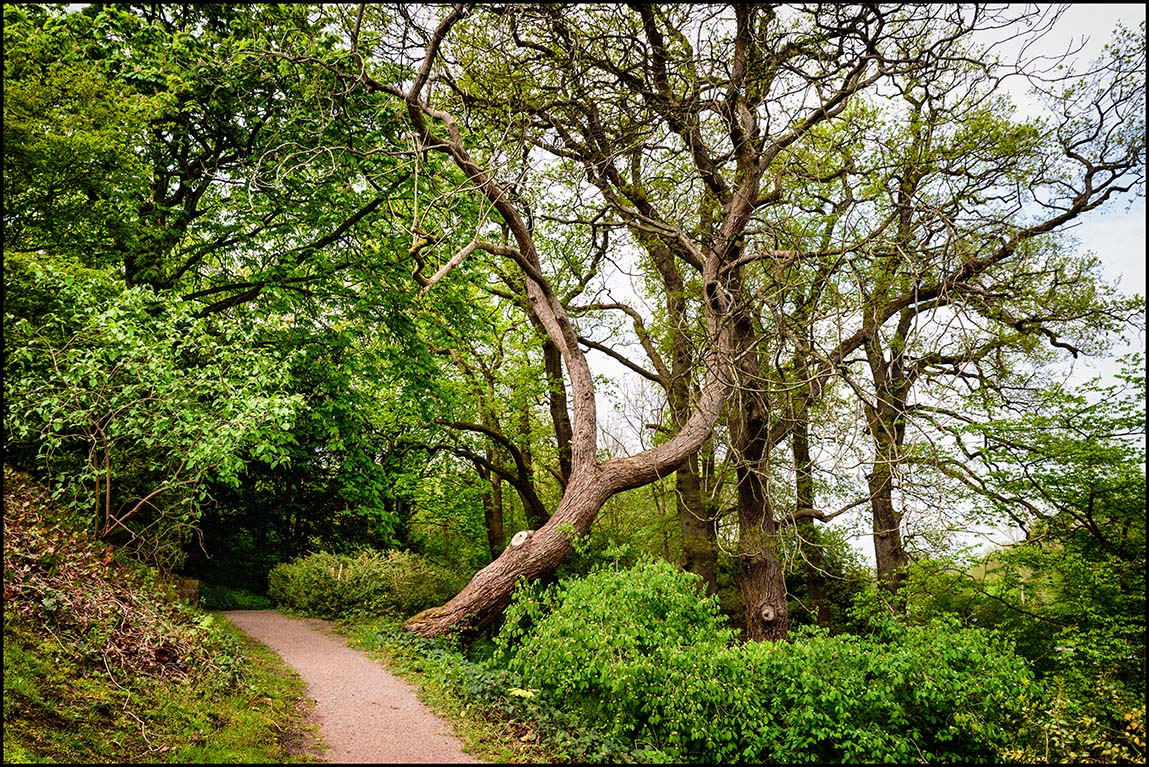 Frühling im Schlosspark Agathenburg 1 Foto & Bild landschaft