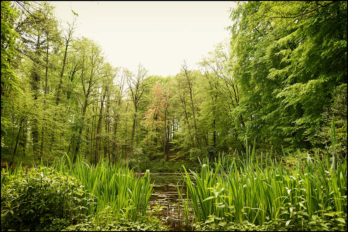 Frühling im Schlosspark Agathenburg #3