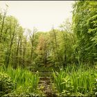 Frühling im Schlosspark Agathenburg #3