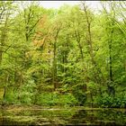 Frühling im Schlosspark Agathenburg #4