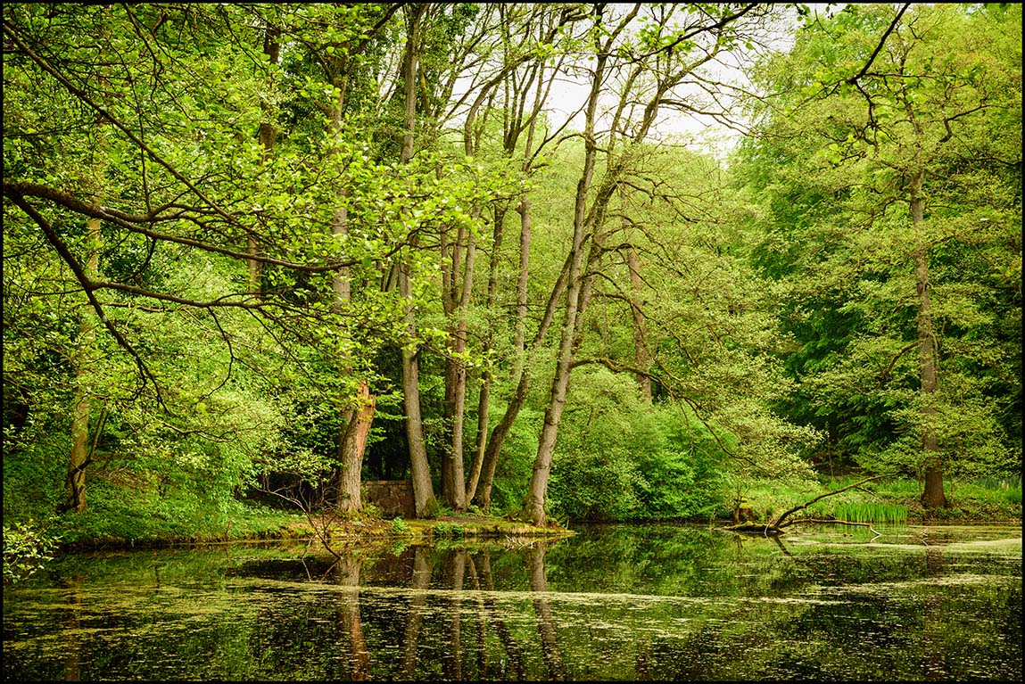 Frühling im Schlosspark Agathenburg #5