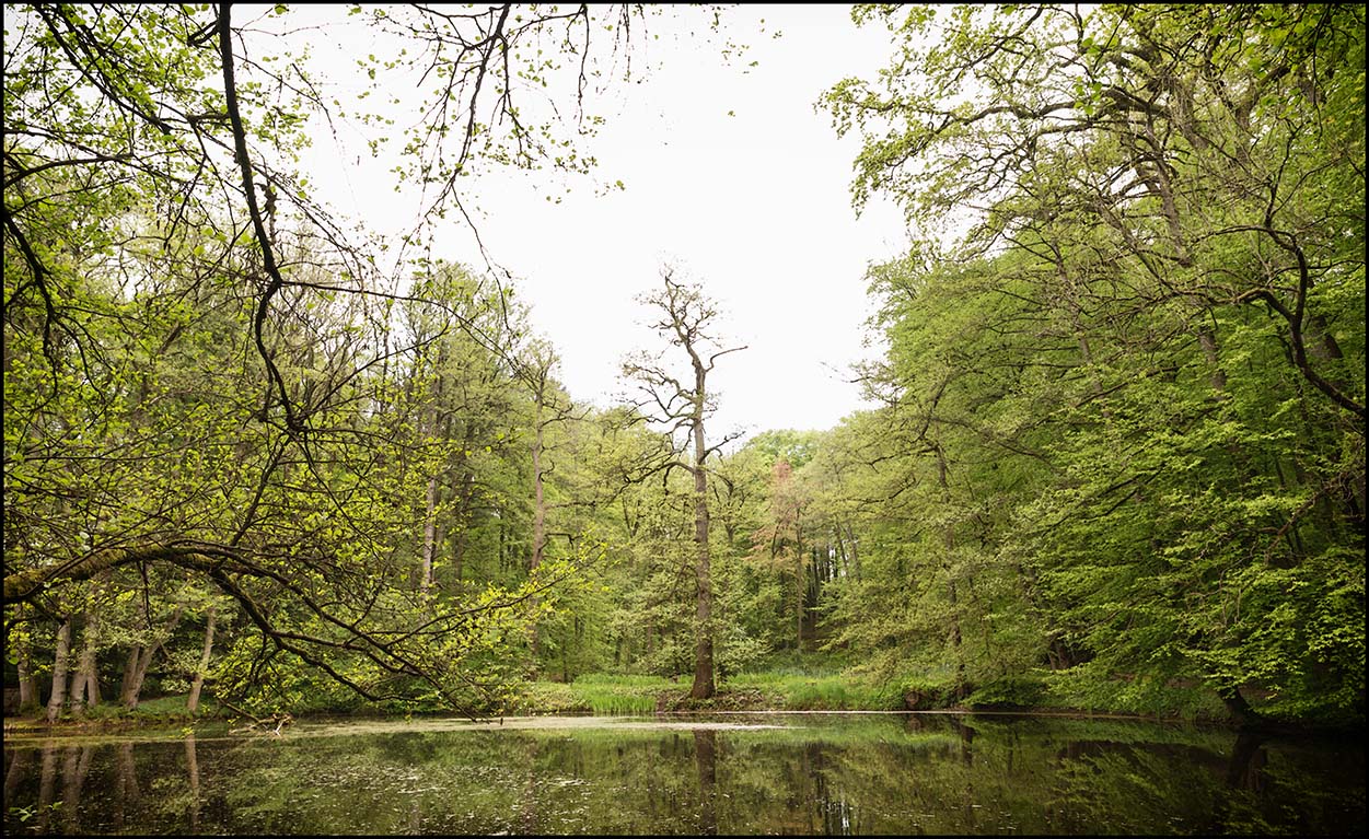 Frühling im Schlosspark Agathenburg #7