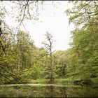 Frühling im Schlosspark Agathenburg #7