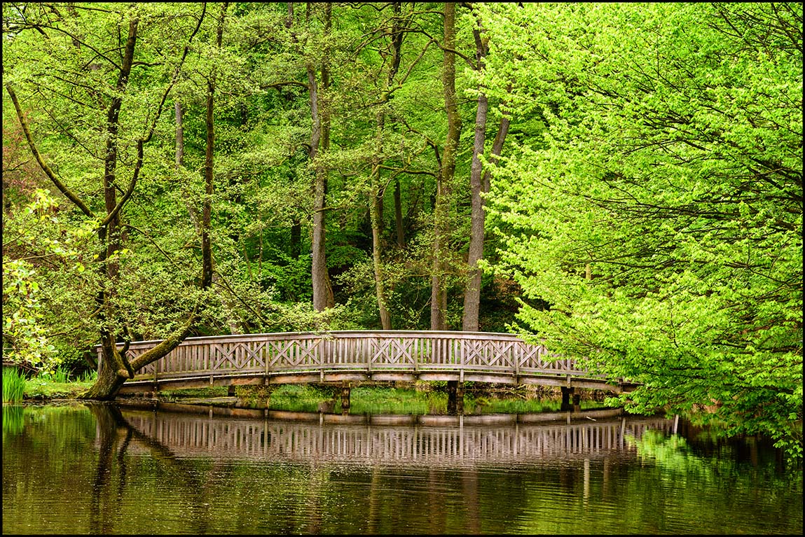 Frühling im Schlosspark Agathenburg #8