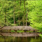 Frühling im Schlosspark Agathenburg #8