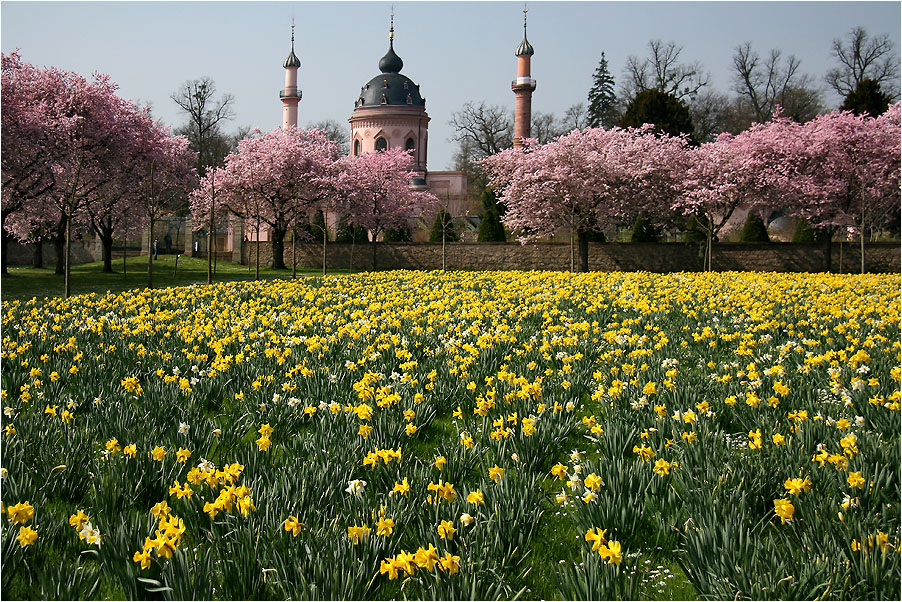 Frühling im Schloßpark