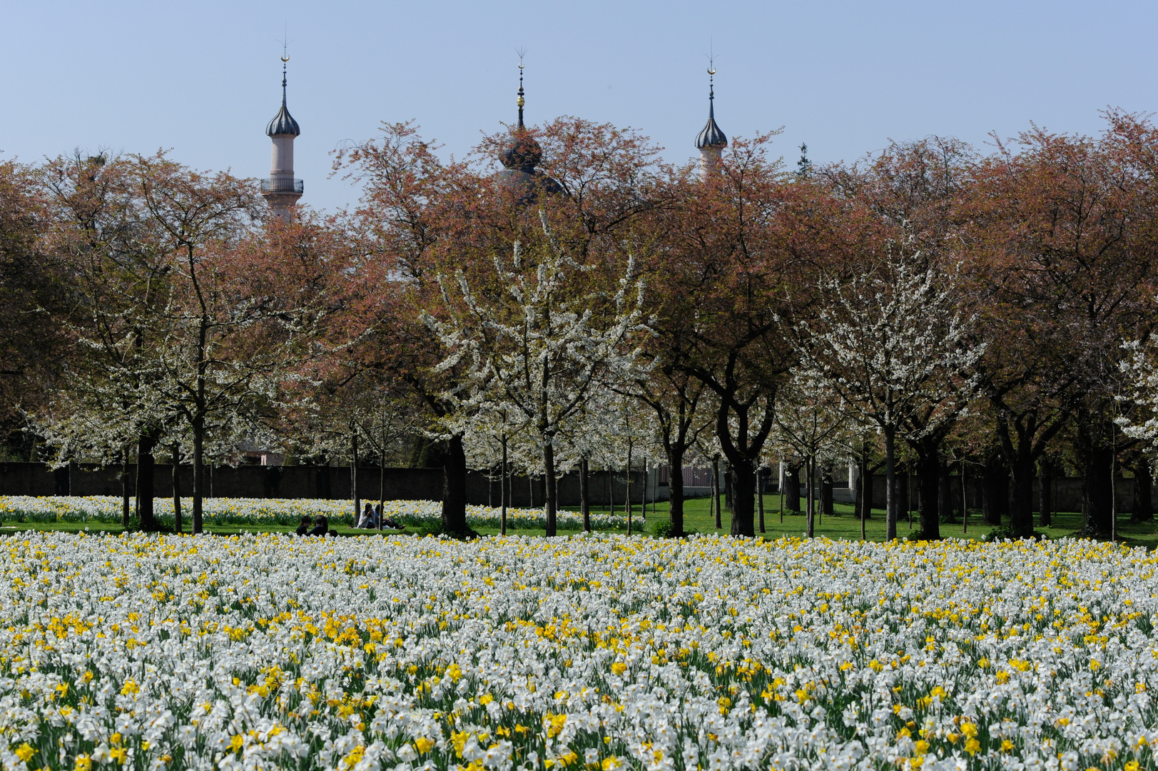 Frühling im Schloßpark