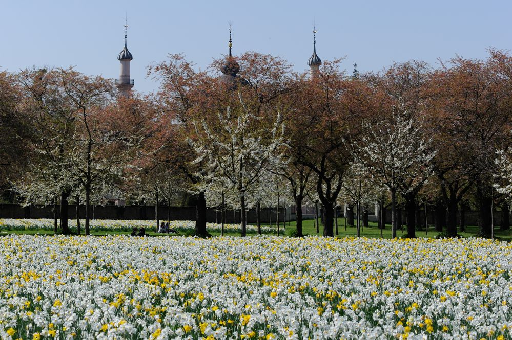 Frühling im Schloßpark von Jürgen Wöhlke 