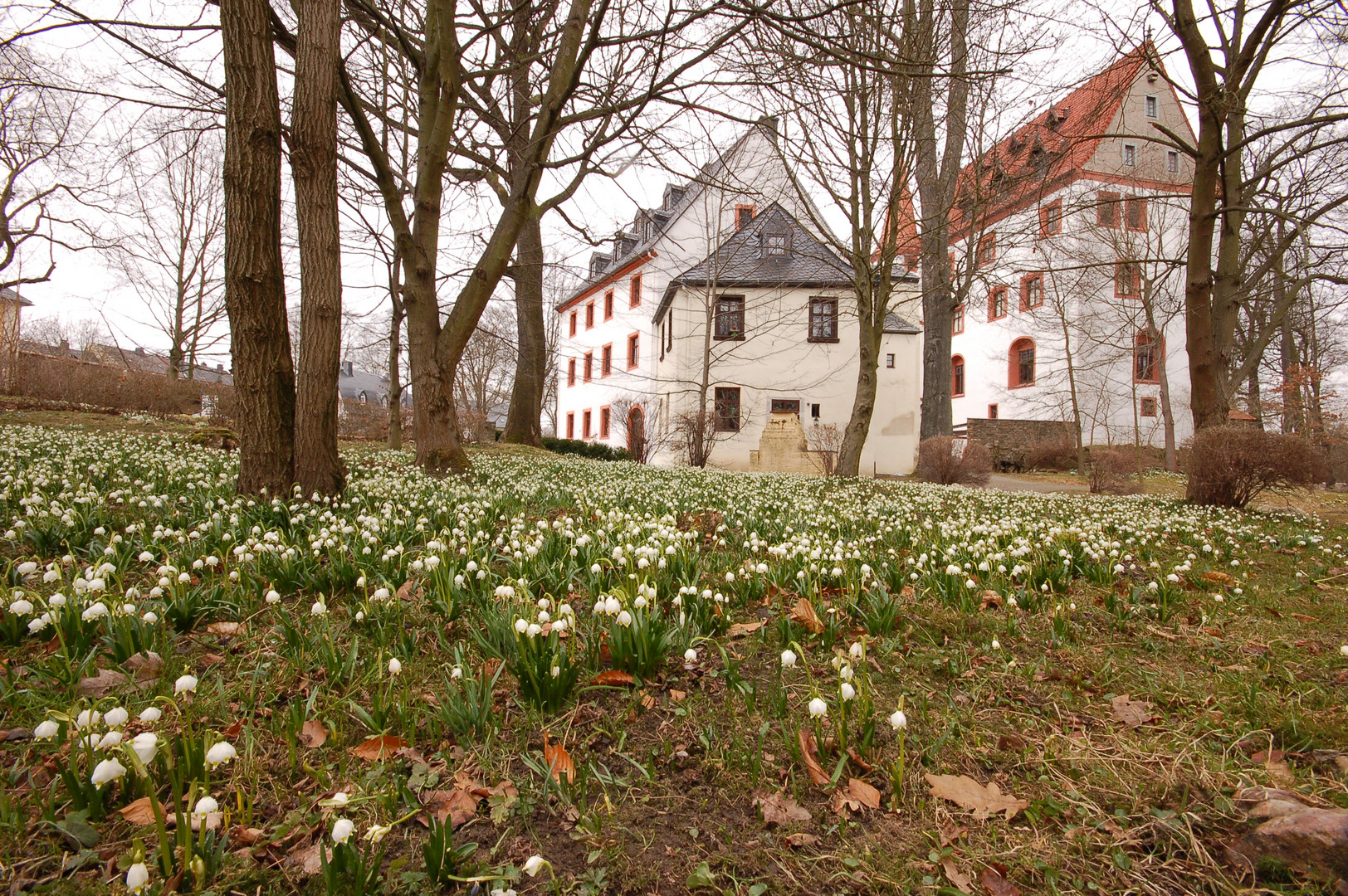 Frühling im Schloßpark Schlettau