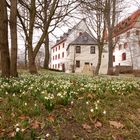 Frühling im Schloßpark Schlettau