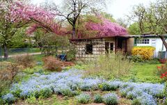 Frühling im Schrebergarten