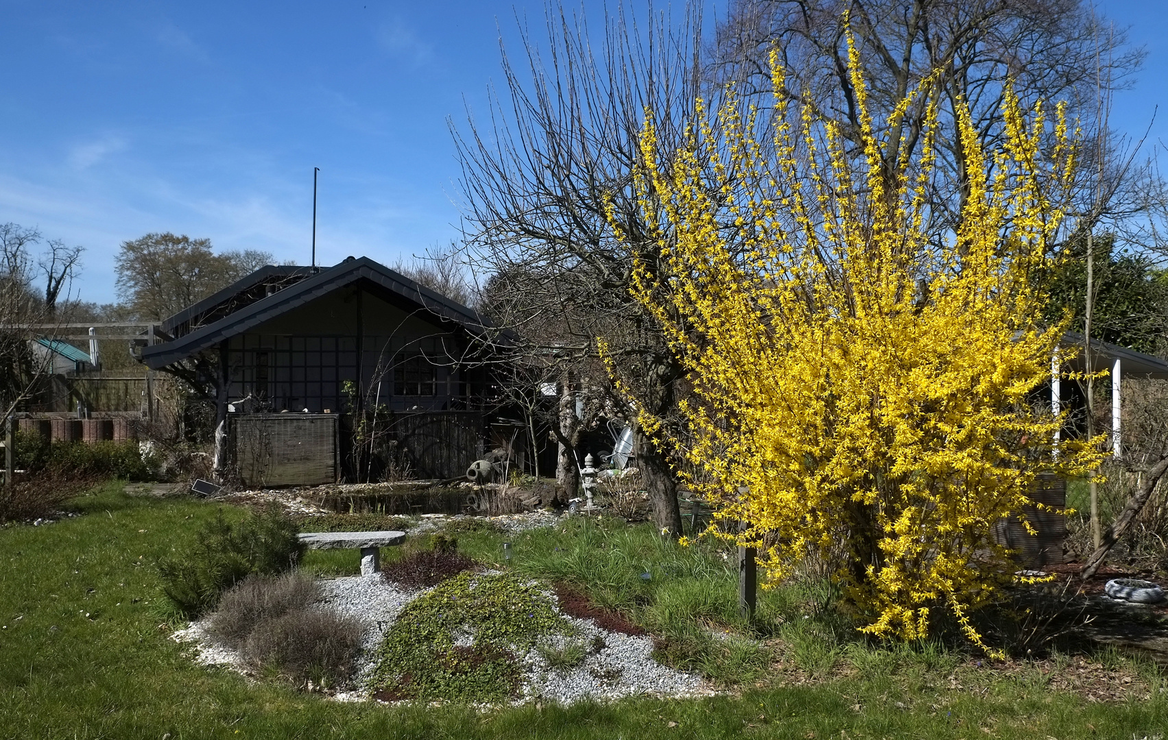 Frühling im Schrebergarten