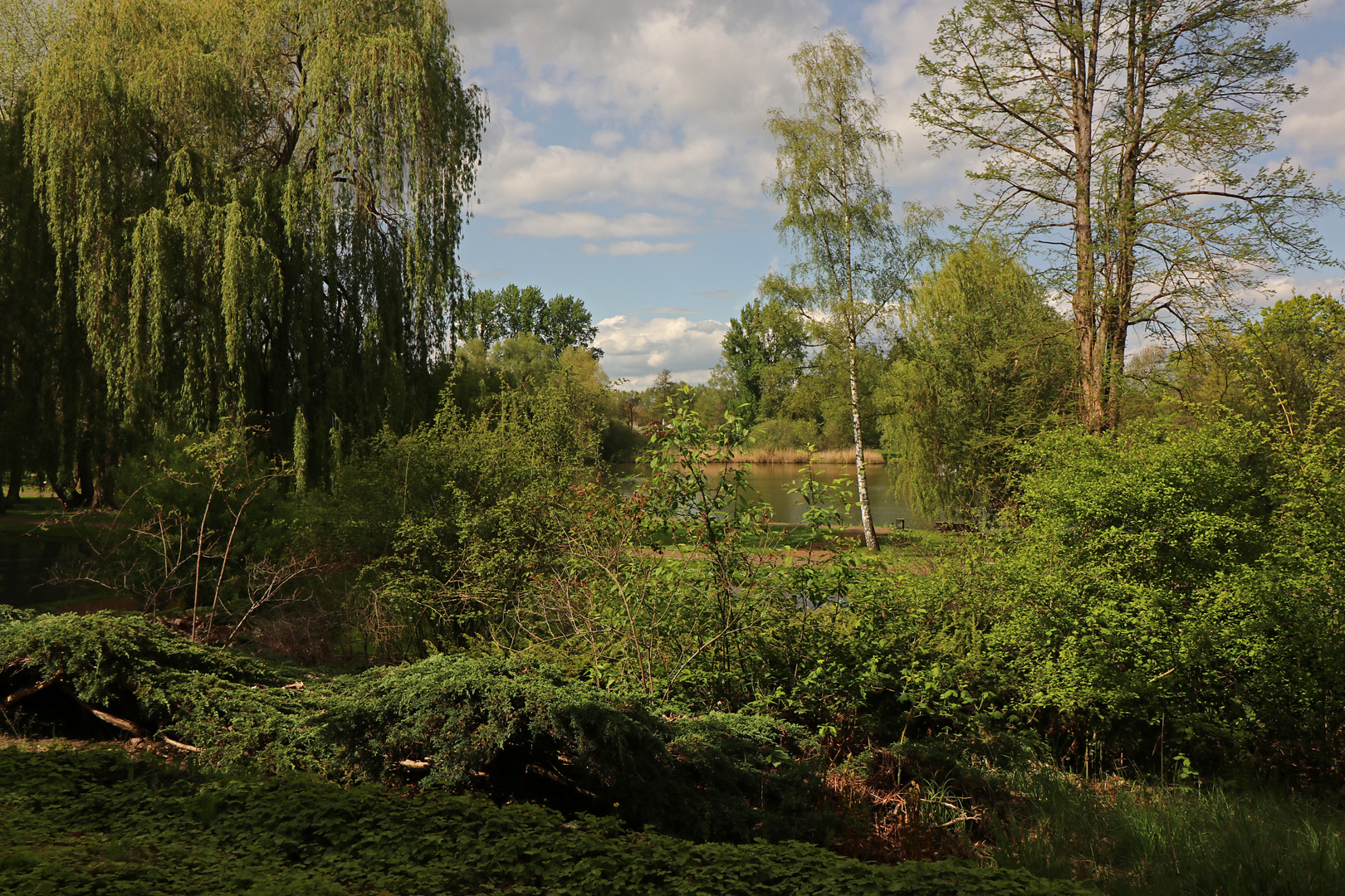 Frühling im Schulgarten