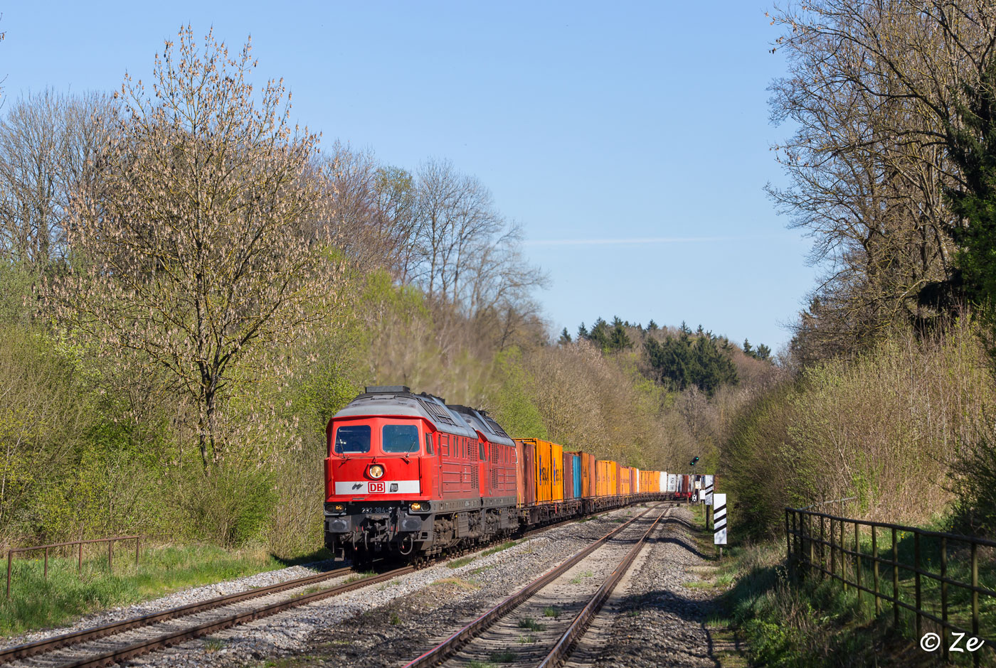 Frühling im Schussentobel