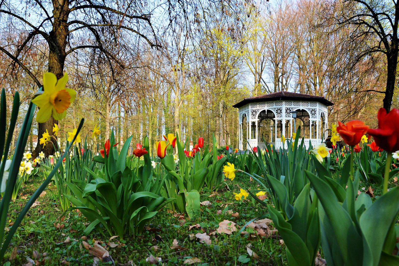 Frühling im Schwabacher Stadtpark