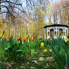 Frühling im Schwabacher Stadtpark