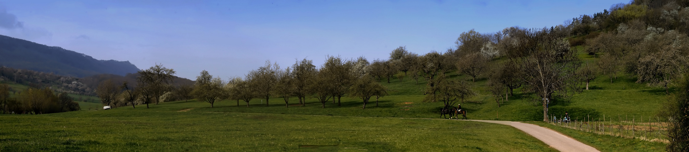 Frühling im Schwabenländle - 2021