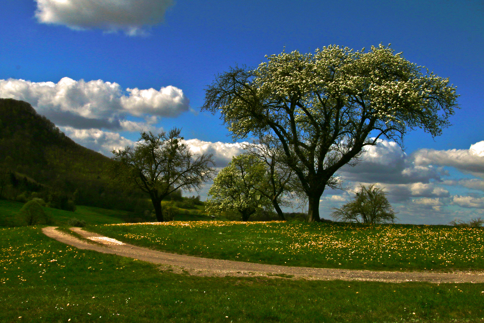 Frühling im Schwabenländle -*2024