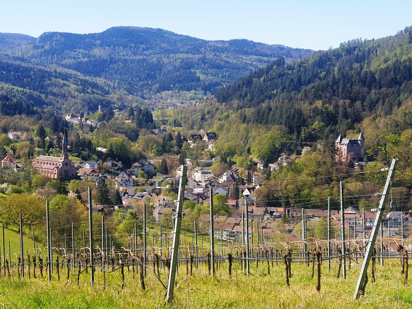 Frühling im Schwarzwald