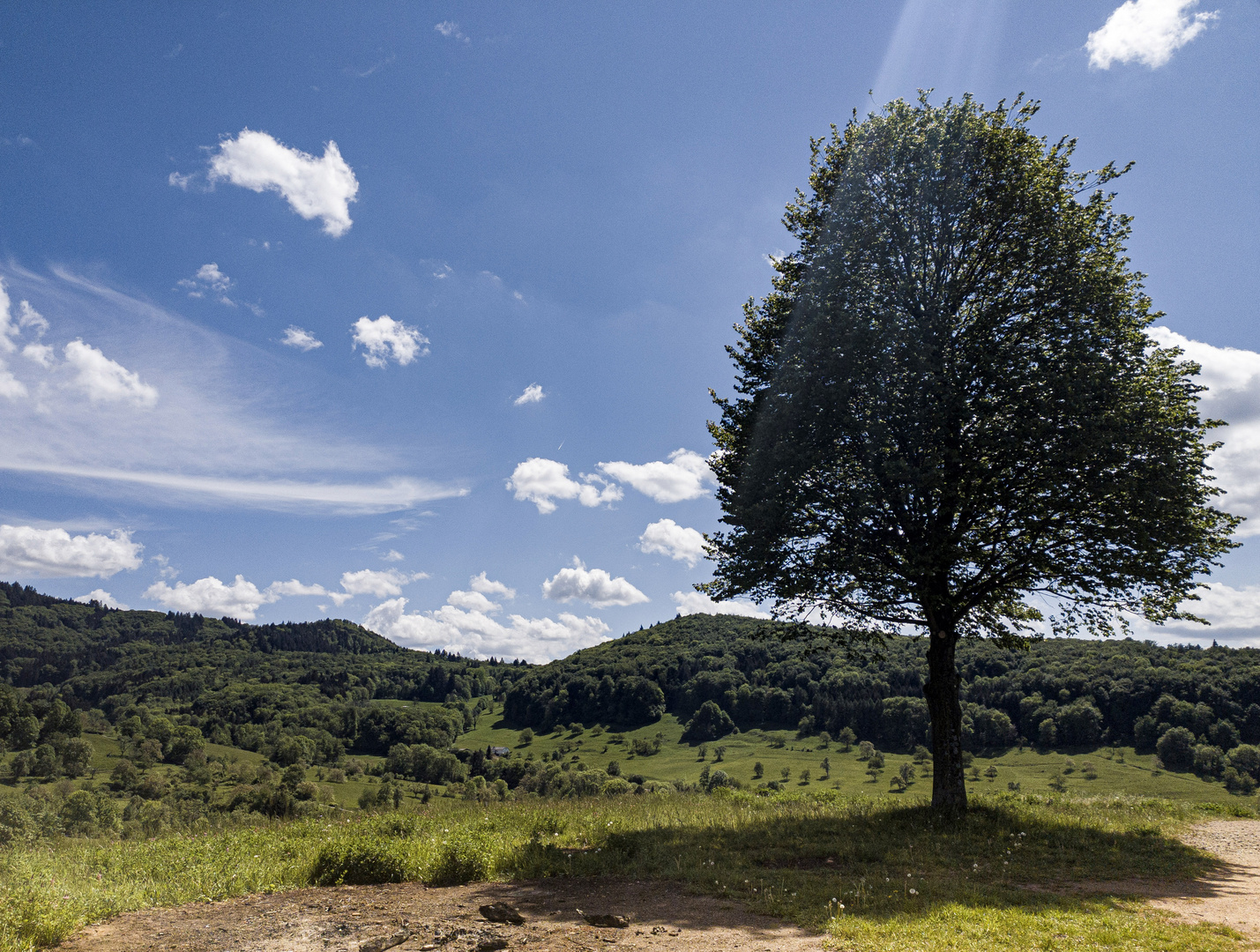 Frühling im Schwarzwald