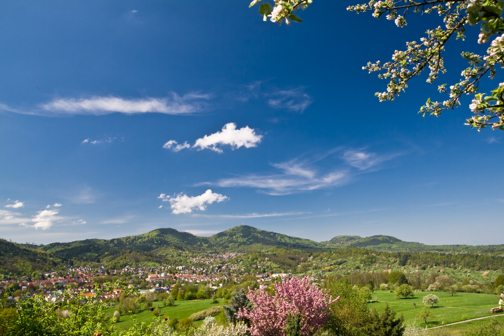 Frühling im Schwarzwald