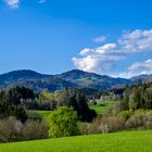 Frühling im Schwarzwald