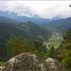 Frühling im Schwarzwald