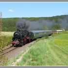 Frühling im Schwarzwald