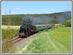 Frühling im Schwarzwald