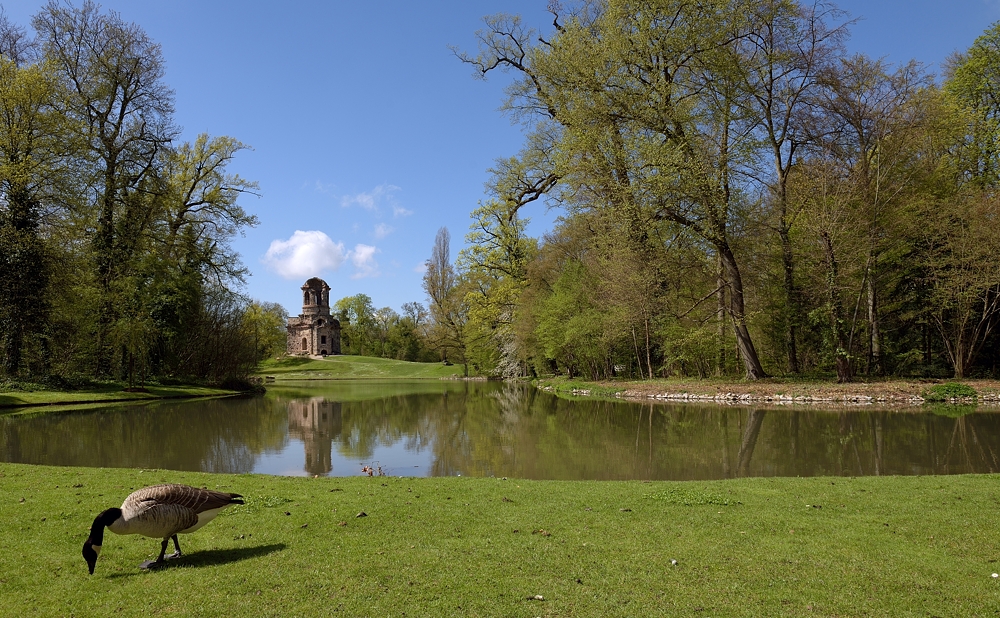 Frühling im Schwetzinger Schlossgarten.
