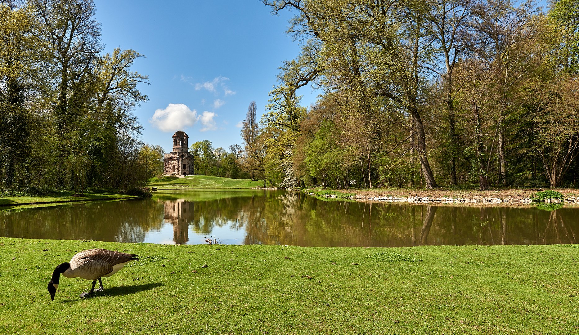  Frühling im Schwetzinger Schlossgarten...