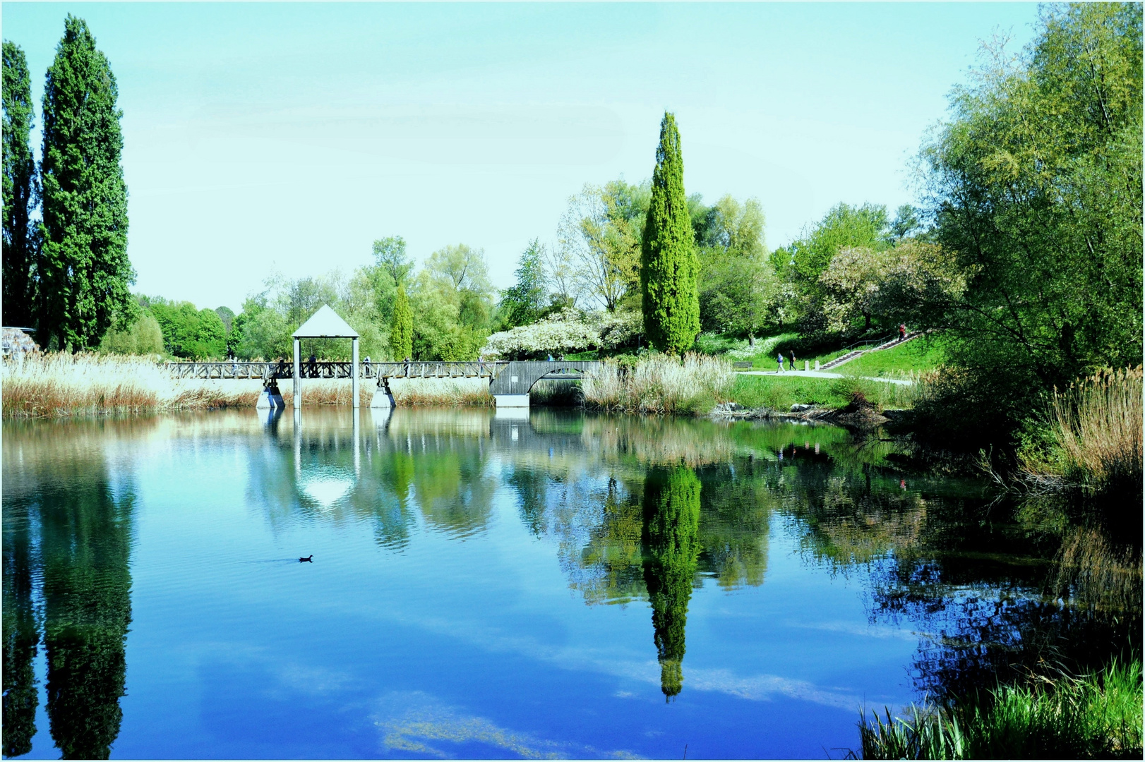 Frühling im Seepark