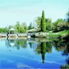 Frühling im Seepark